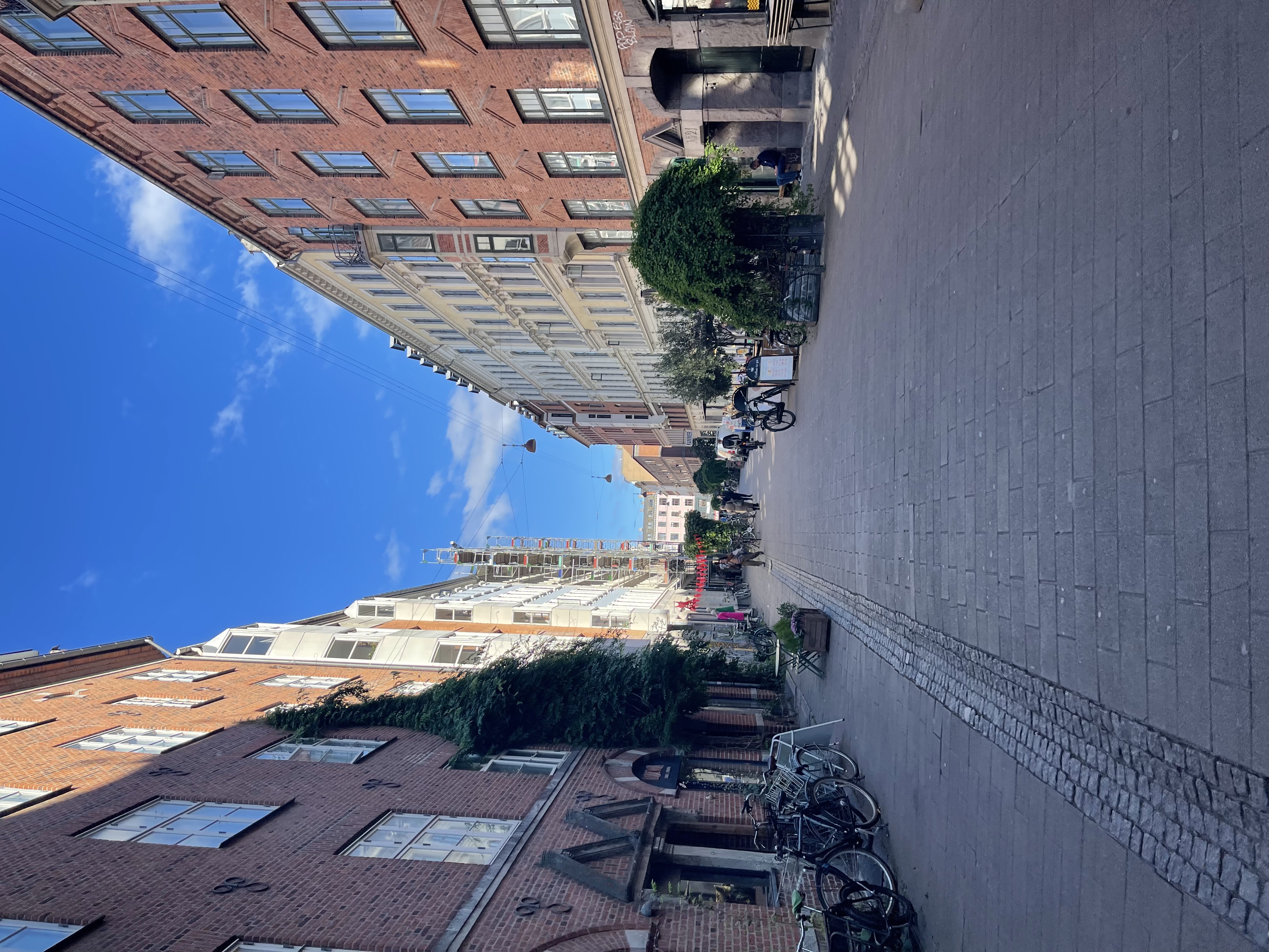 Danish flag waving over Copenhagen city hall.